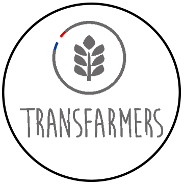 Transfarmer-L